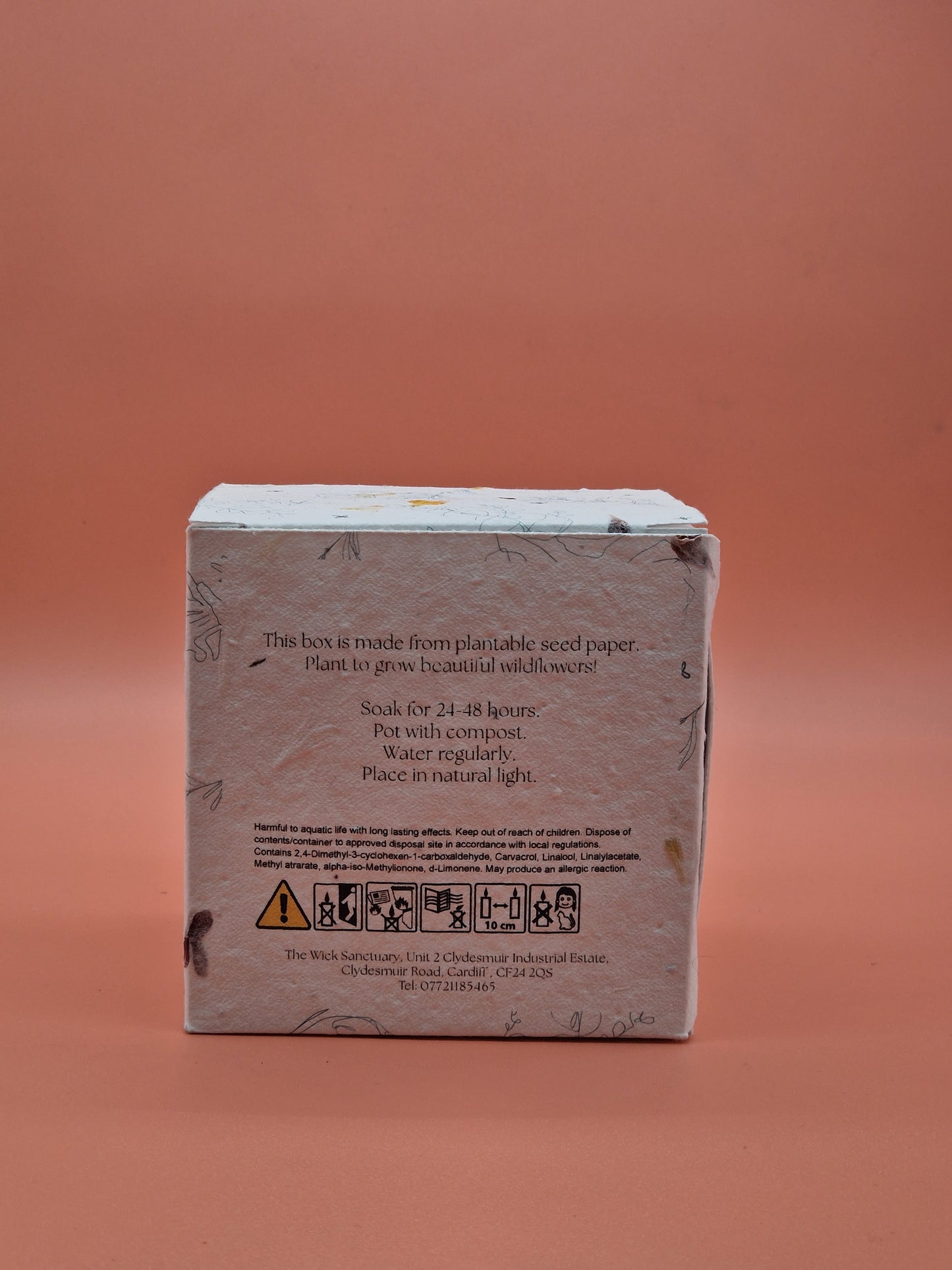 Solis – Botanical Awakening Candle (220g)