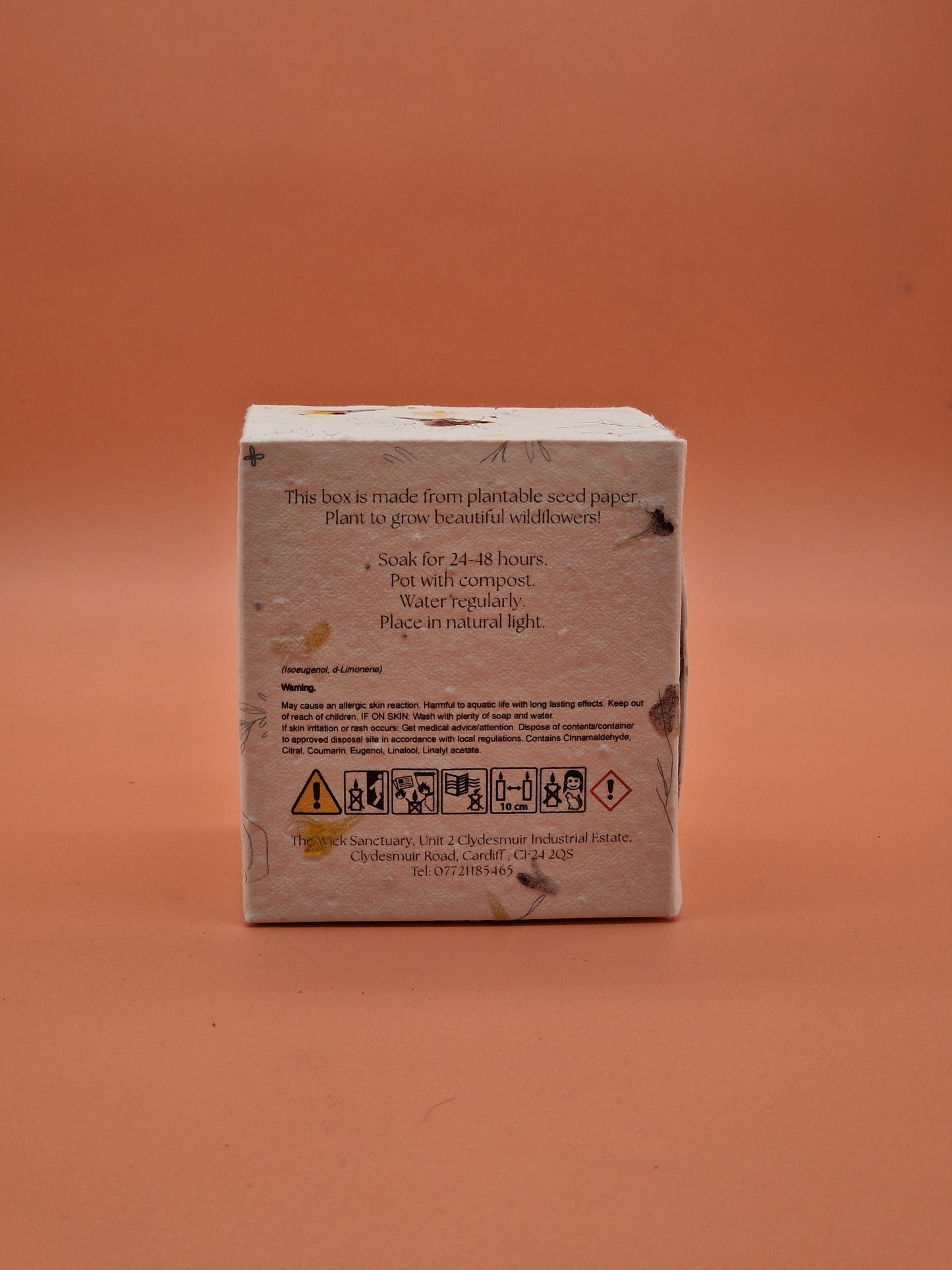 Solis – Botanical Awakening Candle (180g)